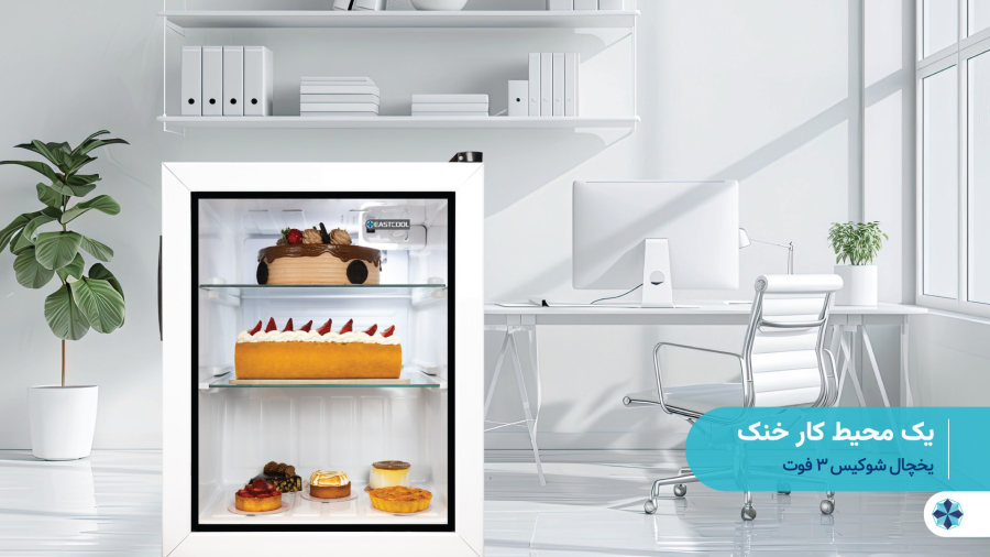 یخچال شوکیس ۳ فوت ایستکول