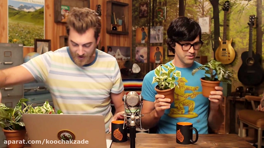 Do Plants Have Feelings?