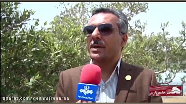 پوستر بزرگ