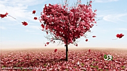 دلت رو به او بسپار