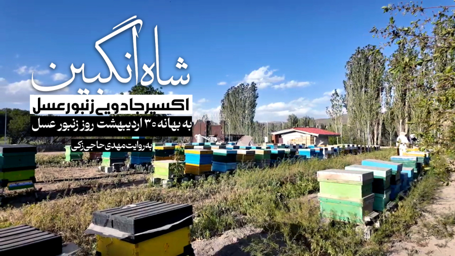 شاه انگبین ، اکسیر جادویی زنبور عسل