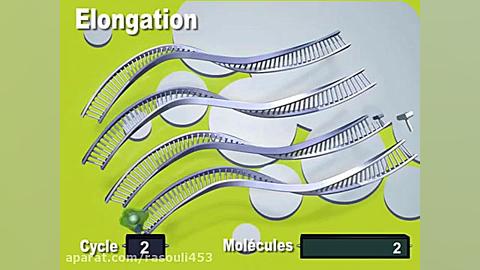 PCR and Real-time PCR Animation / Animation PCR et PCR en temps réel Blood Gas