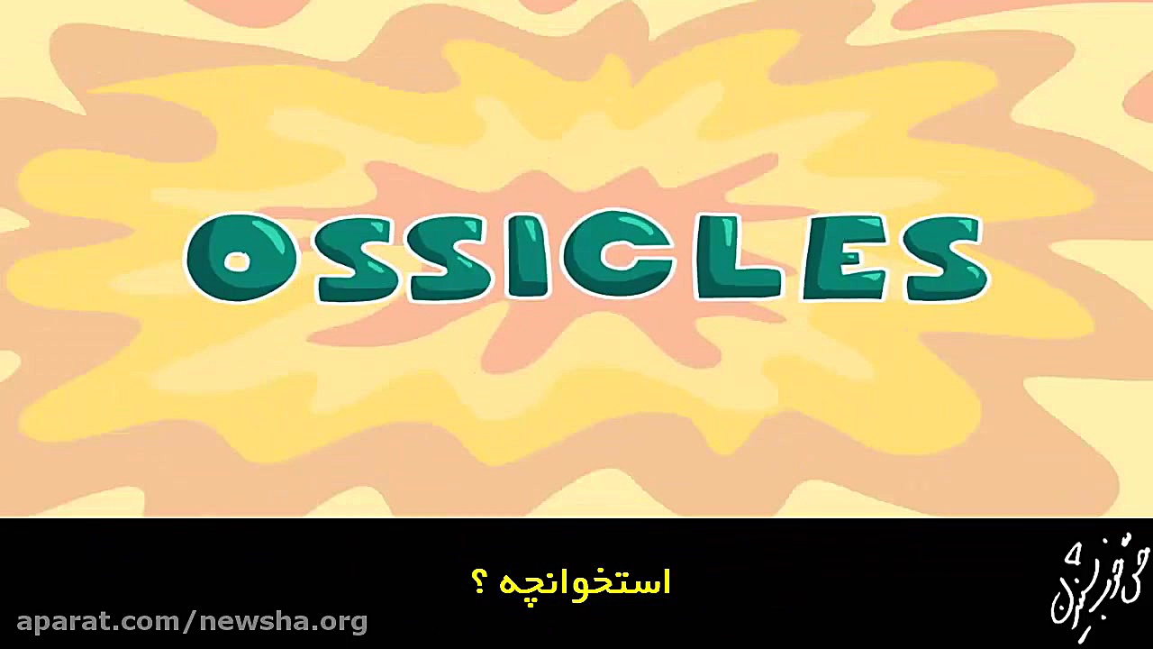 انیمیشن معرفی اجزای گوش به زبان کودکانه -زیرنویس فارسی زمان316ثانیه
