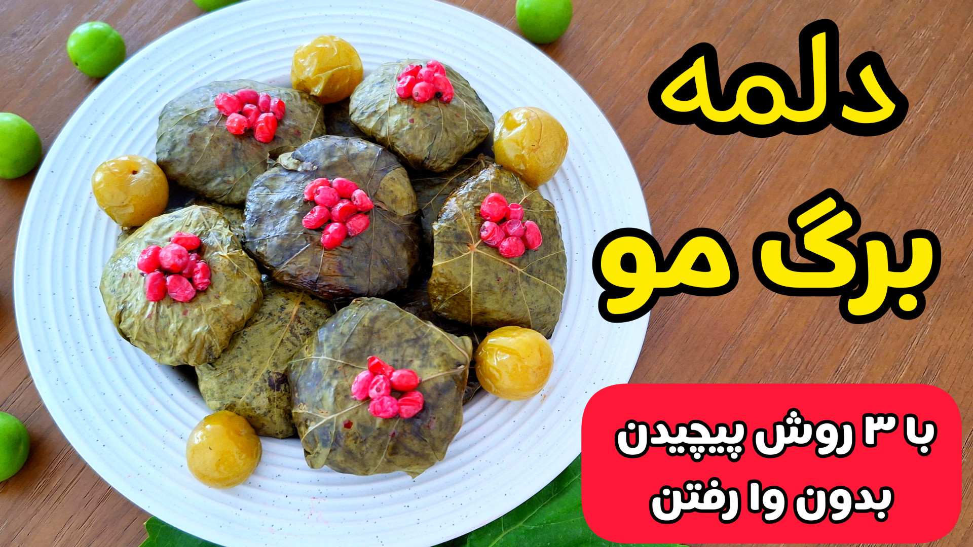 طرز تهیه دلمه | دلمه برگ مو با تمام نکات | پیچیدن دلمه مرحله به مرحله