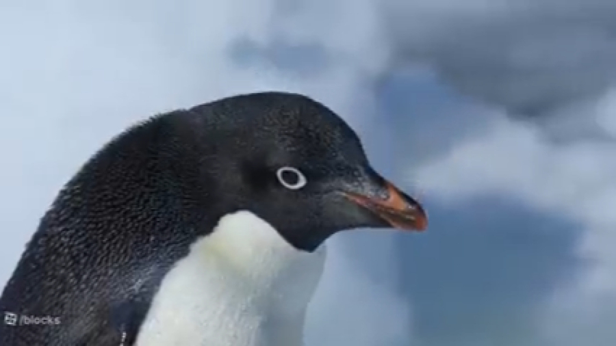 مستند پنگوئن‌ها، حیات در لبه | Penguins, Life on the Edge 2020