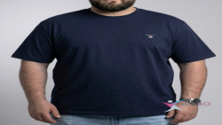 تیشرت GANT سایز بزرگ مردانه4030(کدمحصول:838)