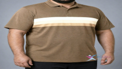 پولوشرت 3Lines سایز بزرگ مردانه ( 760 )