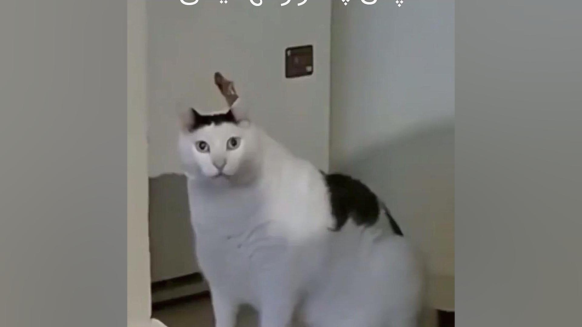 farsroom