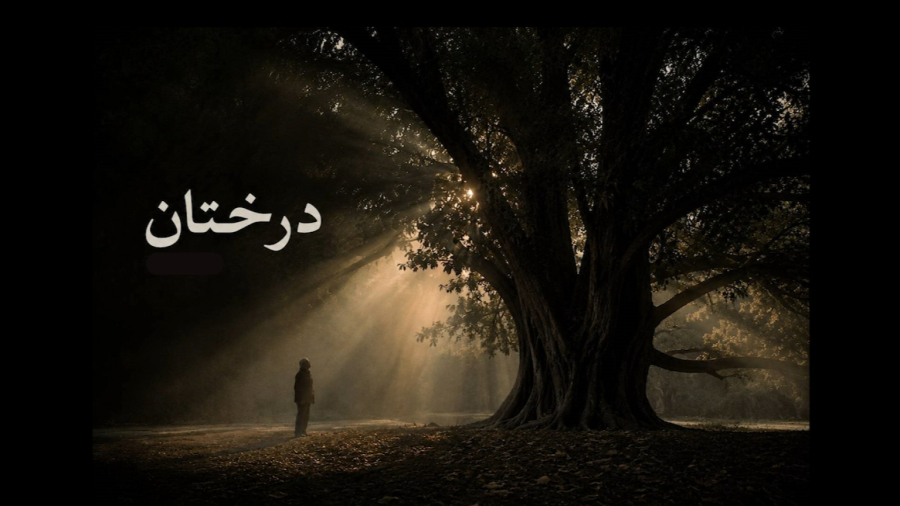 مستند درختان