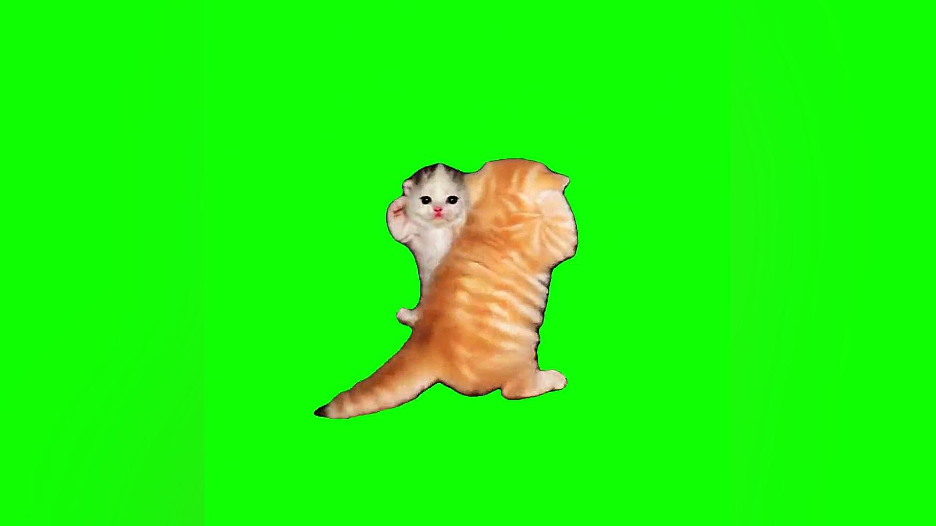 farsroom