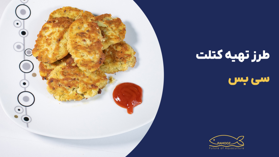 دستور پخت کتلت ماهی با ماهی سی‌بس