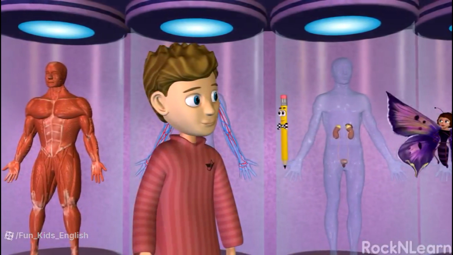 آموزش زبان انگلیسی به کودکان- Human Body - Science for Kids - Rock 'N Learn