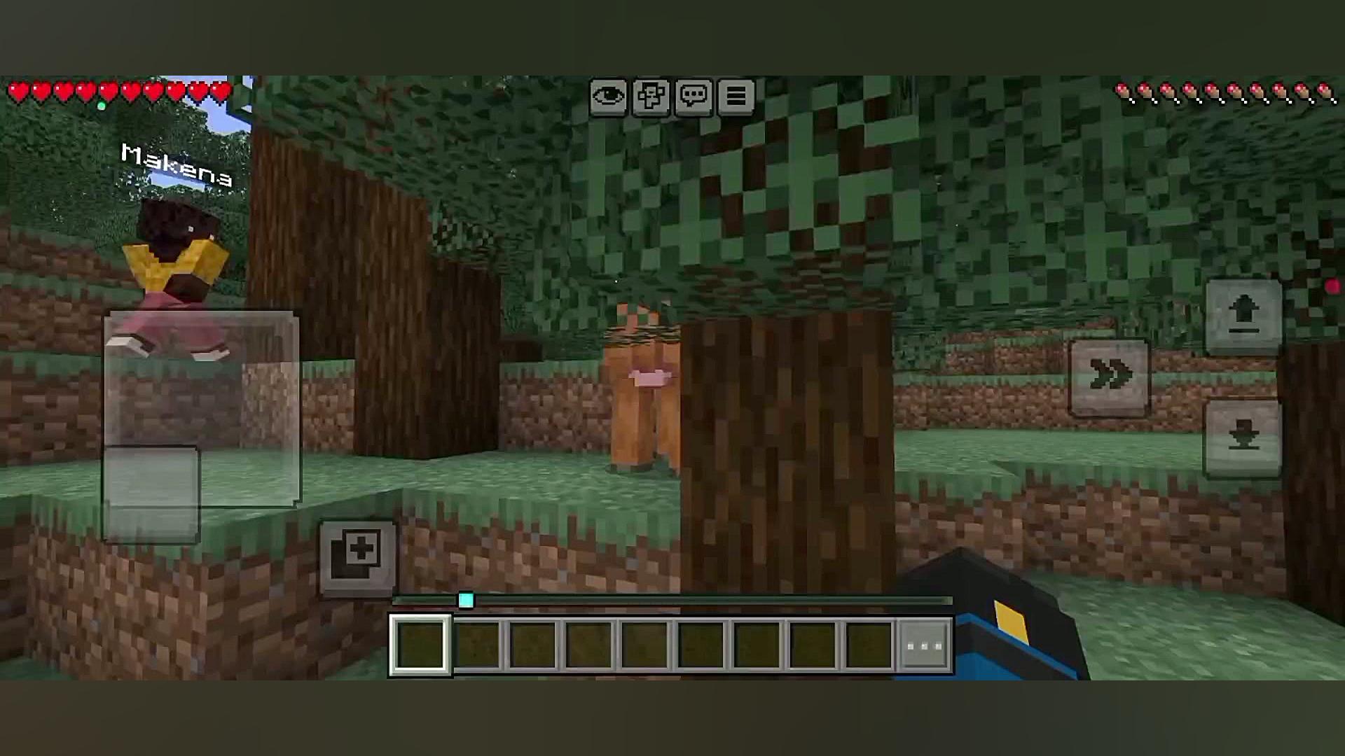 farsroom