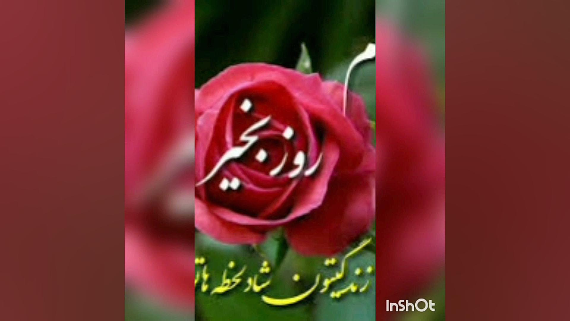 farsroom