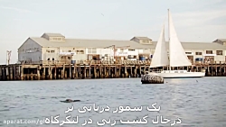 گروگان گیری سمور دریایی!!؟ (زی...