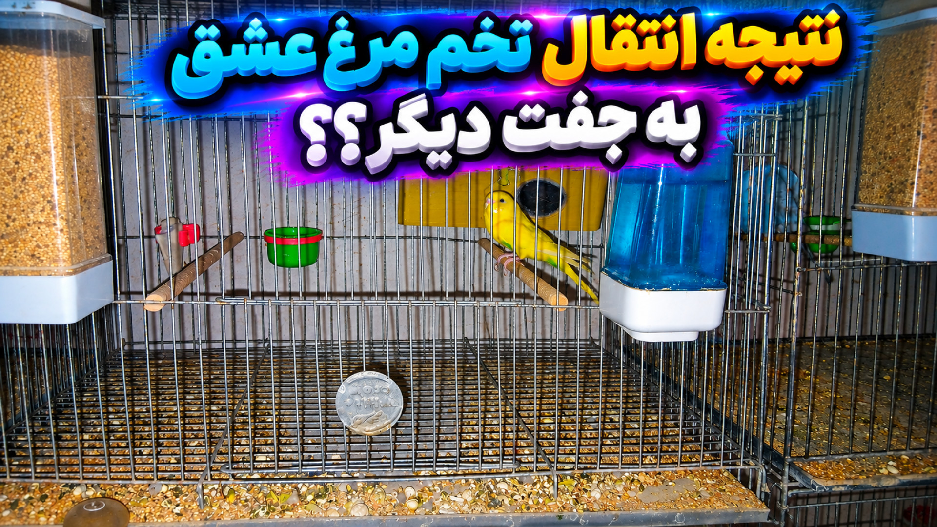 farsroom