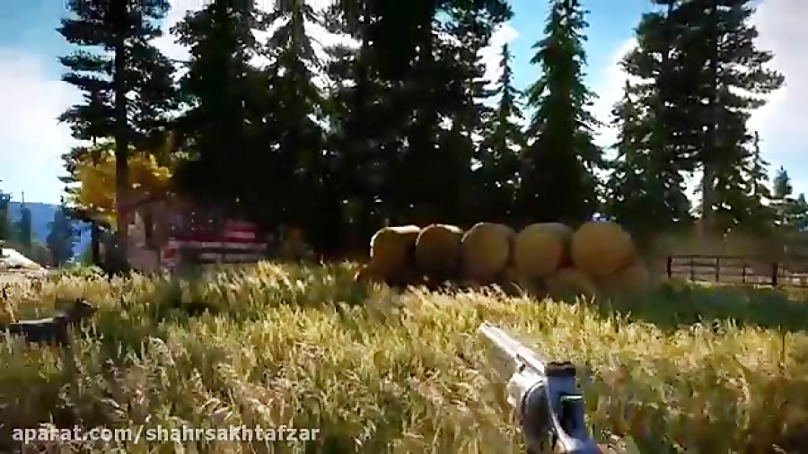 Far Cry 5: Gameplay