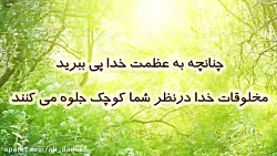 کلمات قصار حضرت علی (ع)