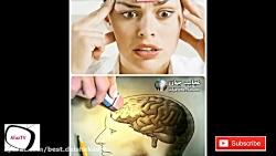 ۱۰ تا ازعجیب ترین دانستنیهای ج...