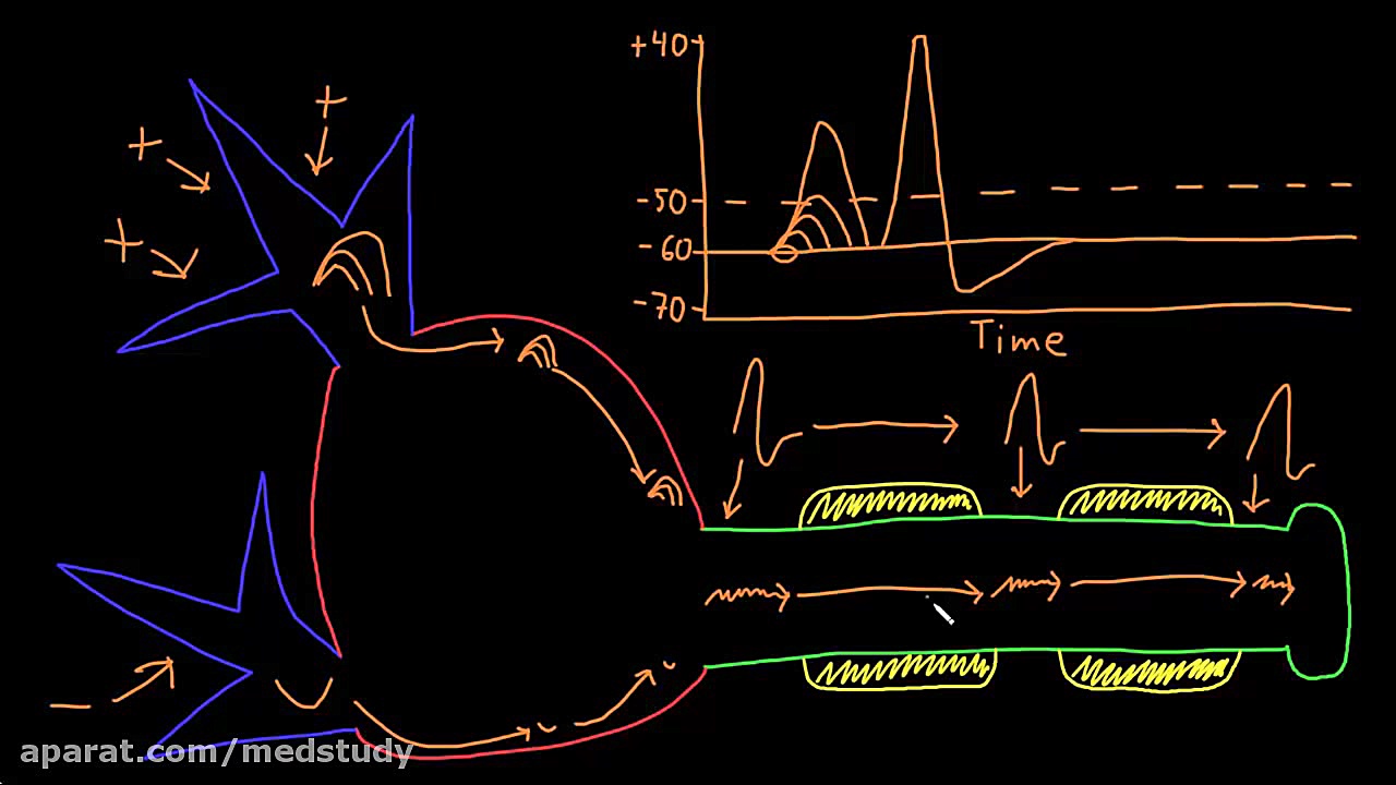 Neuron action potential description | Nervous system physiology | NCLEX-RN | Khan Academy DLCO