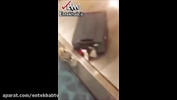 فیلم حمله خرچنگ ها به چمدان مس...