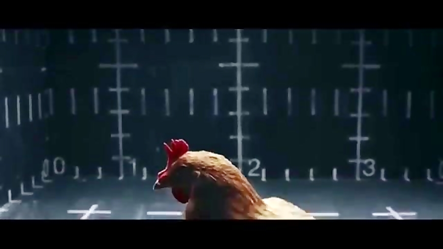 Реклама мерседес с курицей. Курочки из рекламы Мерседес. Рекламный ролик про курицу.