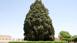 شهر یزد در فهرست میراث جهانی ی...