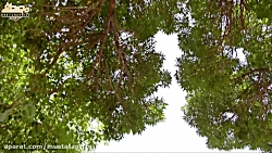 معرفی مسابقه دانش آموزی نور در...