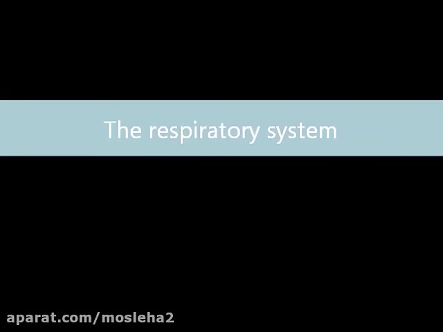 Oxygen transport presentation Biology Diagrams