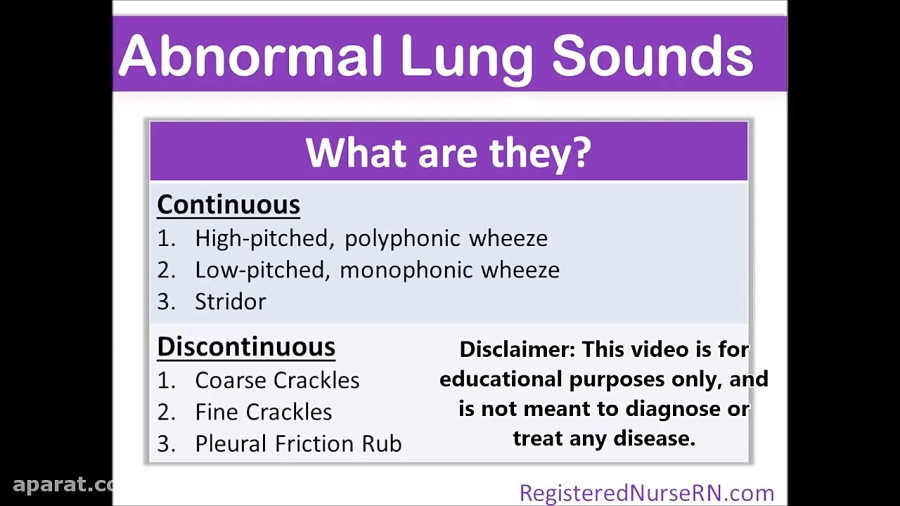rales lung sounds