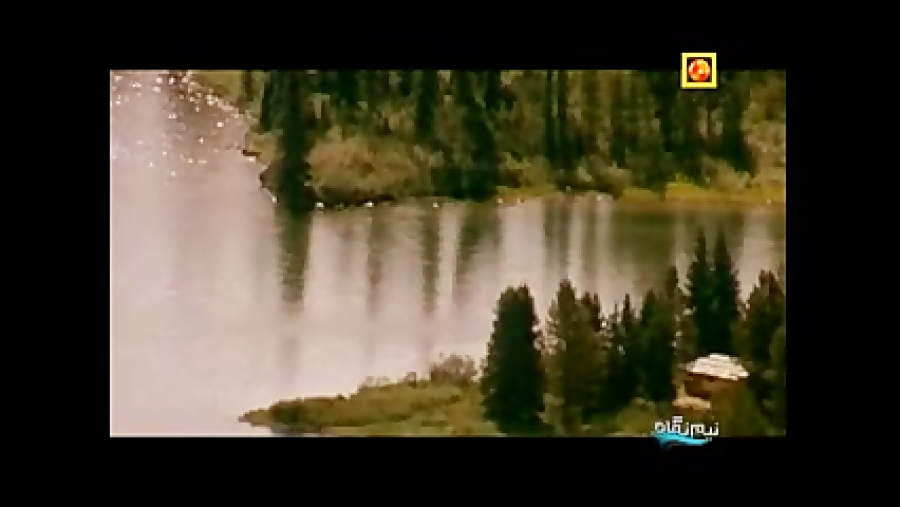 نیم نگاه 23 نیم نگاه 23