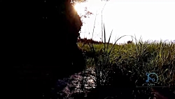 موزیک ویدیو دلارام پازل بند و...