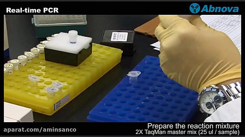 Real-Time PCR for Beginners جراحی فک