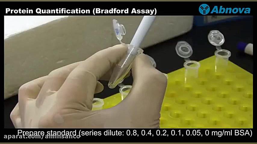 Protein Quantification Bradford Assay بیوسنسور لاکتات خون