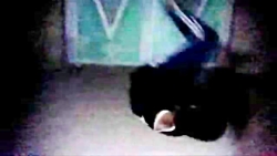 قدیمی ترین کلیپ گروه به نام  ت...