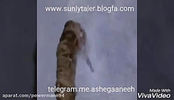 مبارزه ی خونین و تمرین