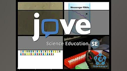 RNA-Seq ASO Test