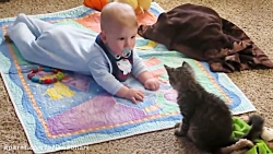 برنامه دورهمی خنده دار ورژن خر...