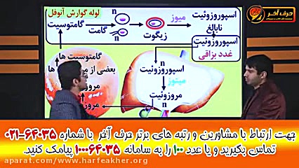 تدریس عامل بیماری مالاریا توسط استاد شاکری وشعبانی درمان سلولیت