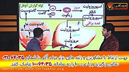 تدریس عامل بیماری مالاریا توسط استاد شاکری وشعبانی لیفت گردنایمپلنت دندان
