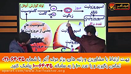 تدریس عامل بیماری مالاریا توسط استاد شاکری وشعبانی اصلاح فرم صورت