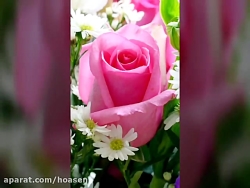 ترانه ای بسیار زیبا کمیاب و قد...