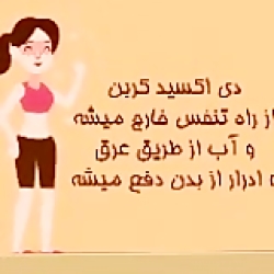 وقتی لاغر میشوم چربیها کجا میر...