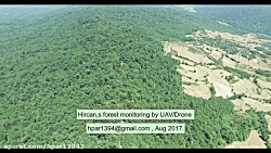 پرواز پهپاد بر روی جنگل های هی...