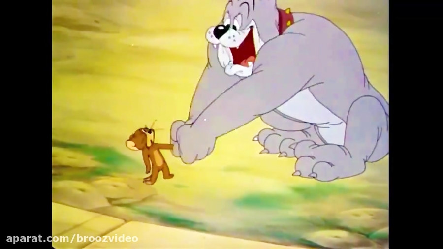 Tom And Jerry English Episodes - The Bodyguard - Cartoons For Kids