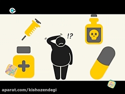 کیش و زندگی  موشن گرافیک  چاقی...