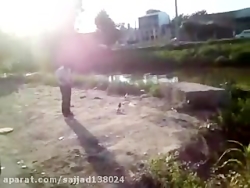 کفتر باز به این میگن