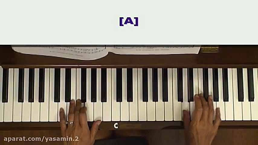 منوئت باخ در سل مینور پالپوتومی