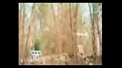 شعر اردو ازفیلم جانور(اكشه كما...