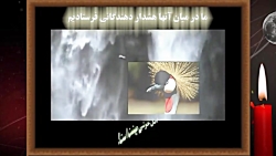 از انکار تا اقبال، قسمت 5: فیل...